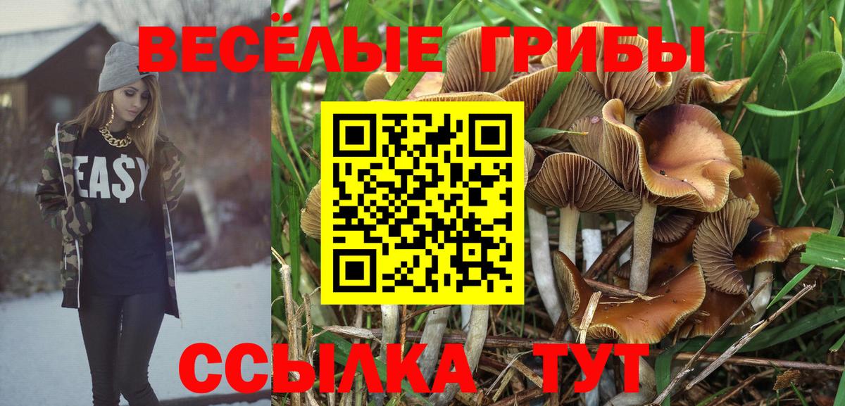 Псилоцибиновые грибы мухоморы Кольчугино