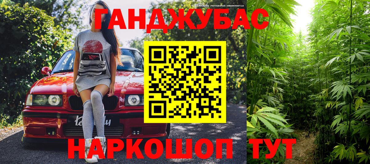 Марихуана сатива Кольчугино